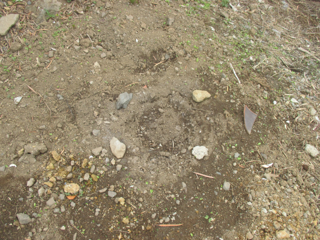 土壌改良の為に石灰や赤玉に腐葉土を土に混ぜてます。